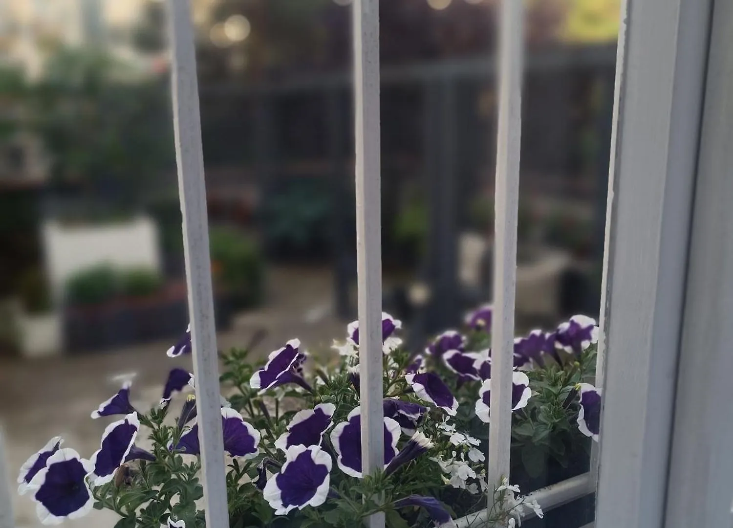 Apartmán Apartmany Podol Praha