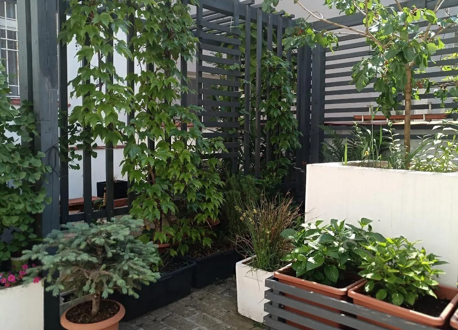 Apartmany Podol Prag 0*,  Çek Cumhuriyeti